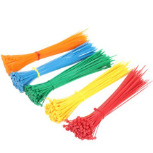 manufacture custom cable ties moulding nylon plastic injection molding service for cable tie